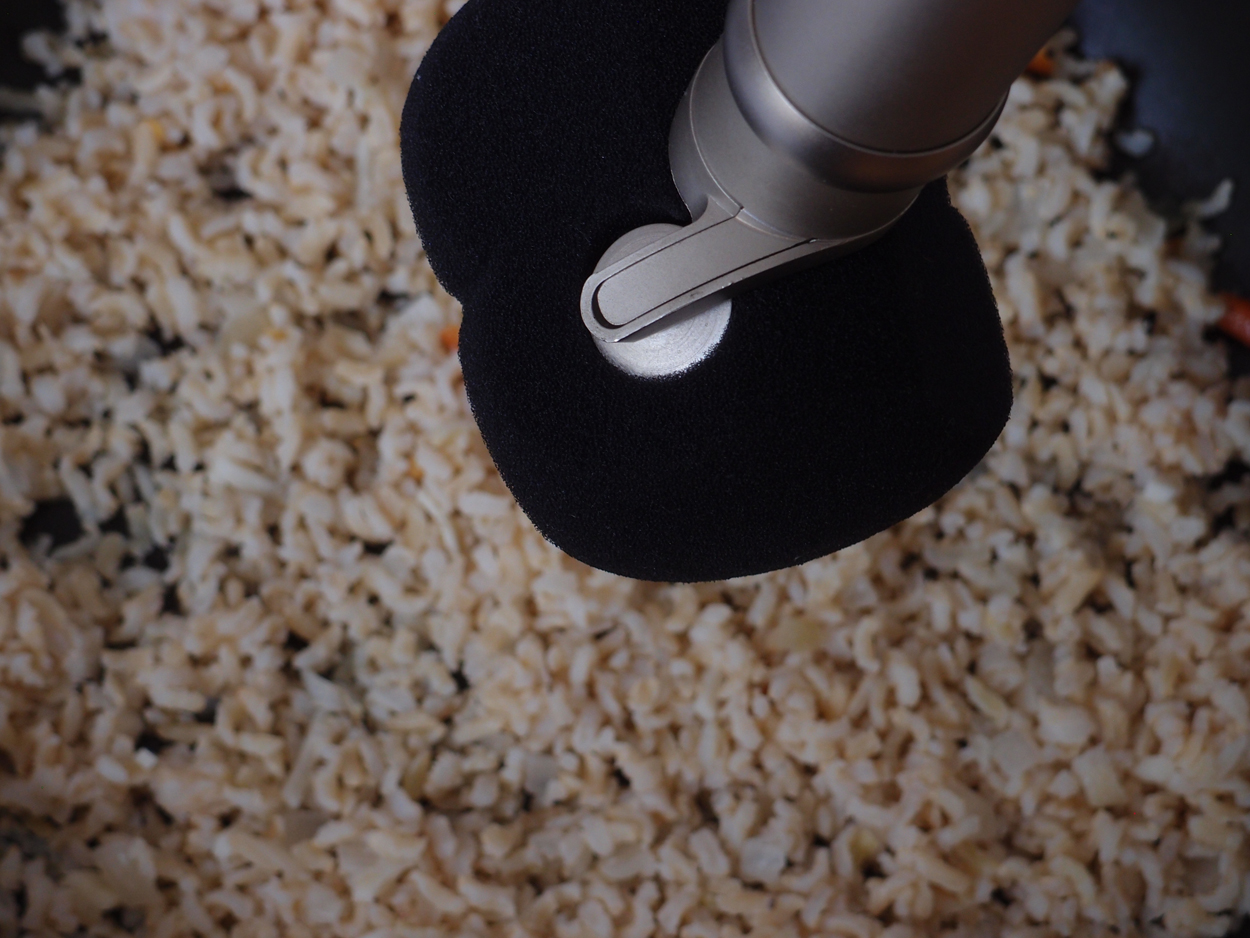 2019-07-15 Reis in der Pfanne (Audio)